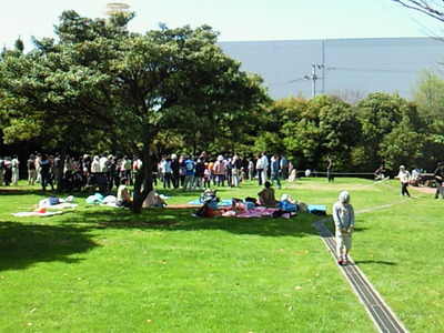 若洲海浜公園のキャンプ場